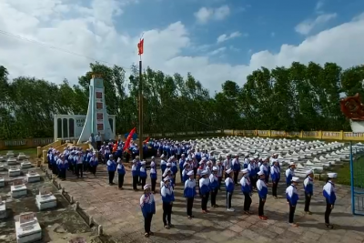 HOẠT ĐỘNG ĐỘI 2020-2021